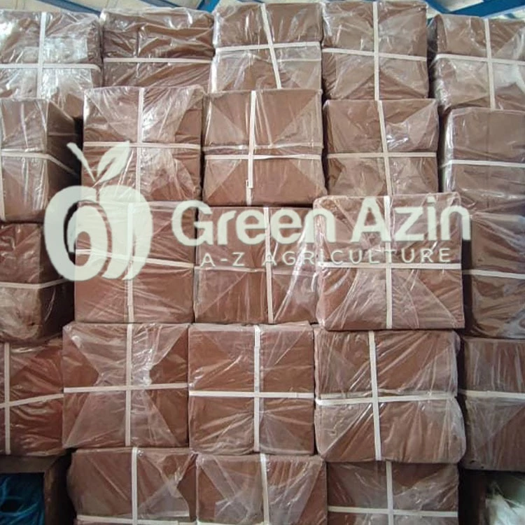 کوکوپیت هندی با گارانتی شرکت