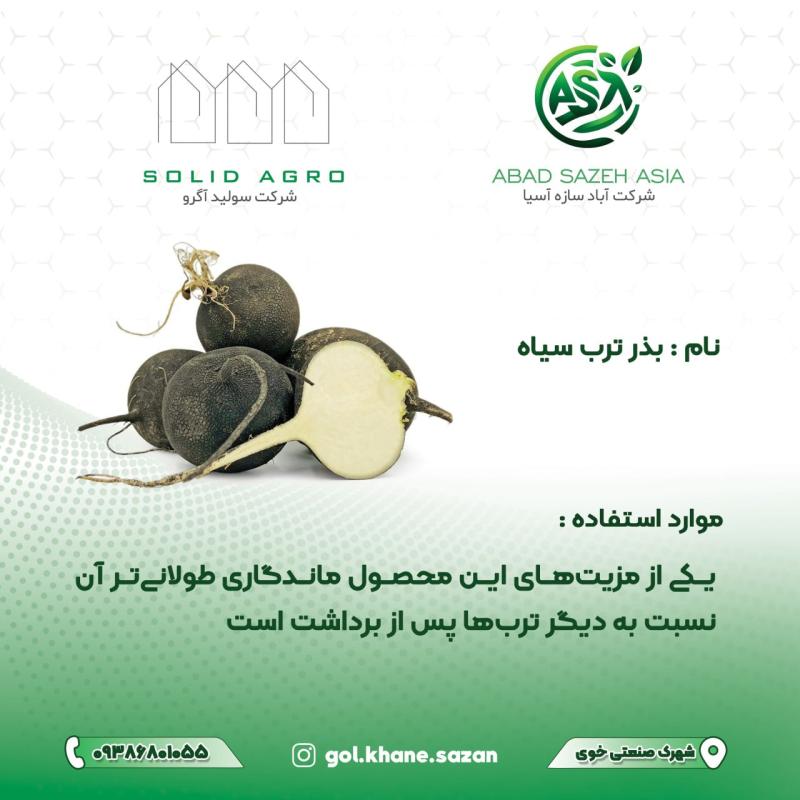 بذر ترب سیاه پاکت 125 گرمی (عاملیت فروش : آباد سازه آسیا)