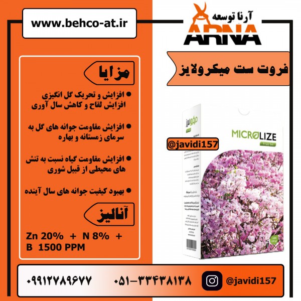 فروت ست میکرلایز