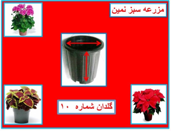 گلدان پلاستیکی 10