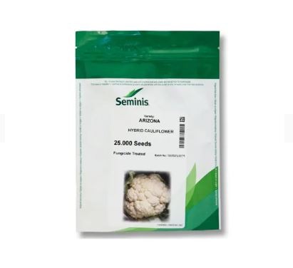 بذر گل کلم آریزونا سمینیس