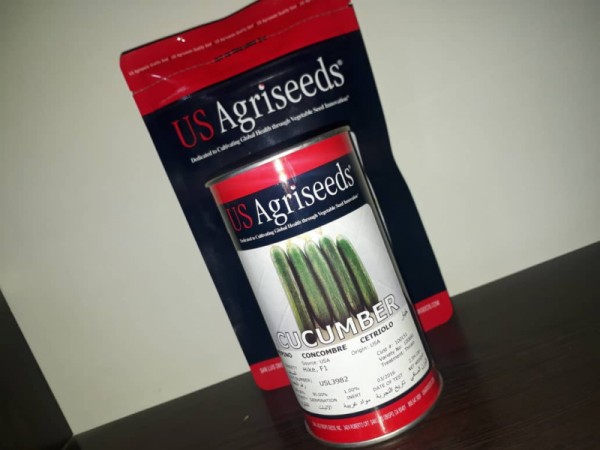 بذر خیار زمینی هایک (Hike)