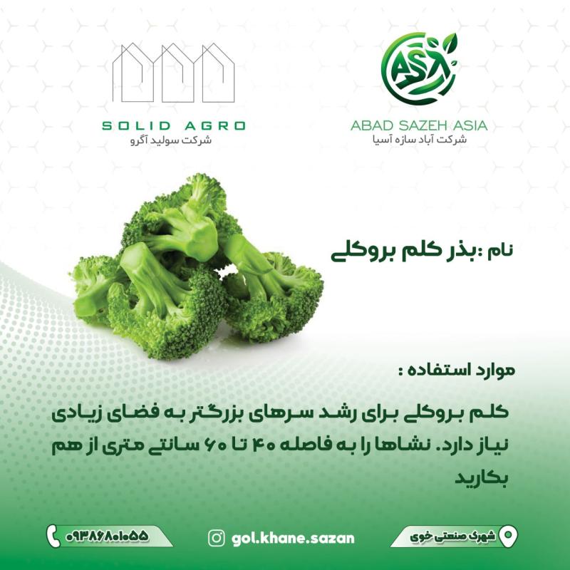بذر کلم بروکلی پاکت 70 گرمی