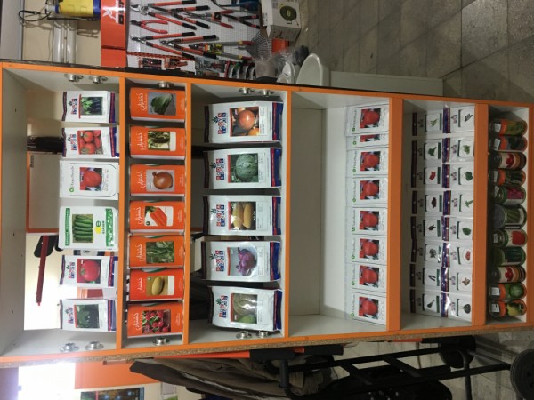 بذر هویج کشتزار