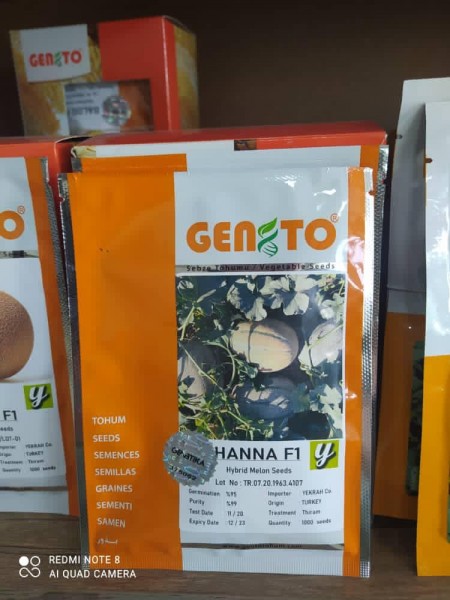 بذر ملون هانا 2020