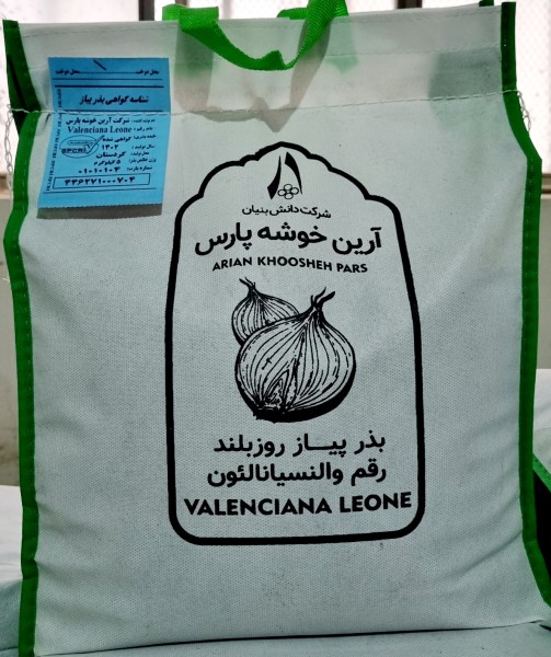 بذر پیاز روز بلند رقم والنسیانا لئون - زرد زرگان