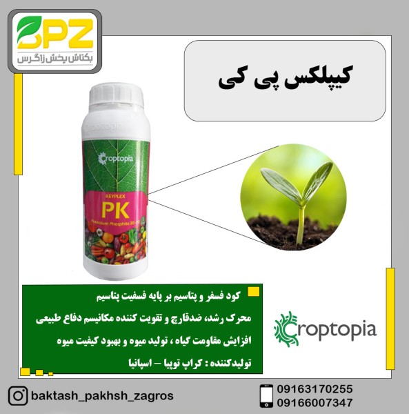 کود فسفیت پتاسیم کیپلکس پی کی (اسپانیا)