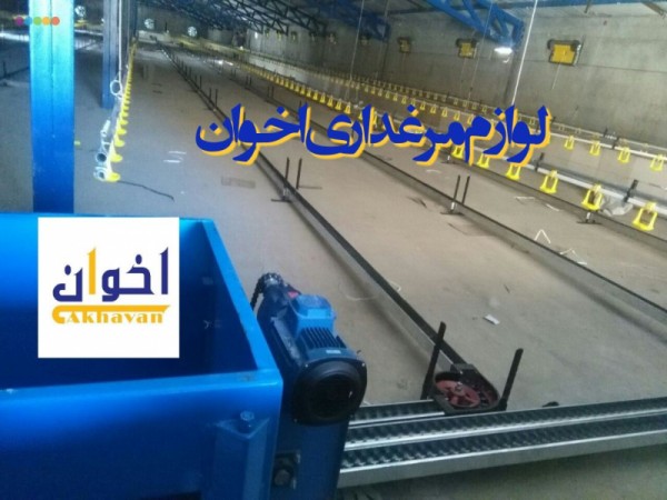 دانخوری زنجیری