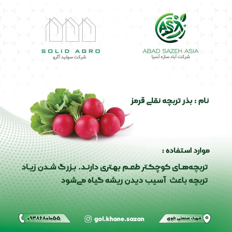 بذر تربچه نقلی پاکت 200 گرمی ( عاملیت فروش : آباد سازه آسیا )