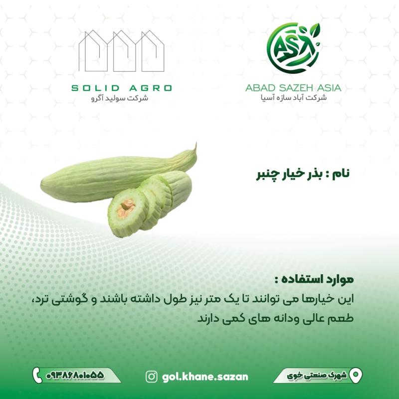 بذر خیار چنبر پاکت 75 گرمی ( عاملیت فروش : آباد سازه آسیا )