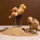 کاشت زنجبیل در چین
