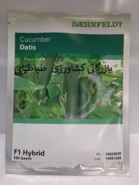 بذر هیبرید خیار گلخانه‌ای داتیس Datis F1