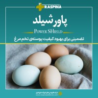 پاورشیلد (تضمینی برای بهبود کیفیت پوسته ی تخم مرغ)