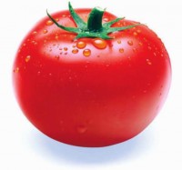 بذر گوجه فرنگی فالکون 100 گرمی