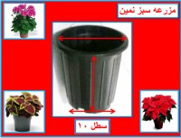 گلدان پلاستیکی سطل 10